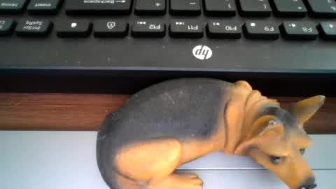 Snapshot of kawa98karbu chatting on 07-21-26, 01:02 kawa98karbu online show from 07-21-26, 01:02