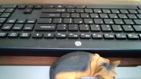 Snapshot of kawa98karbu chatting on 07-22-26, 12:30 kawa98karbu online show from 07-22-26, 12:30