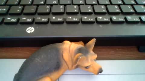 Snapshot of kawa98karbu chatting on 07-29-26, 01:42 kawa98karbu online show from 07-29-26, 01:42