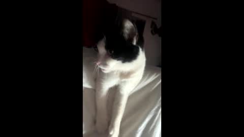 kay_la online show from 10-04-25, 10:13