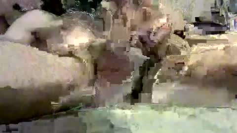 Snapshot of kazzarsouth chatting on 03-05-25, 02:12 kazzarsouth online show from 03-05-25, 02:12