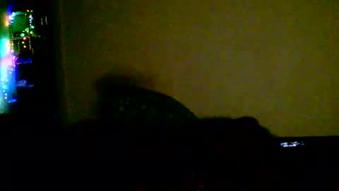 kev online show from 02-18-26, 01:45