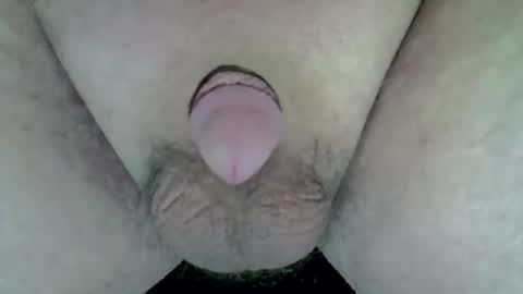 maggot online show from 04-05-26, 11:02