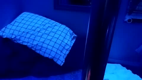 kikilovespartylights online show from 03-28-26, 07:19