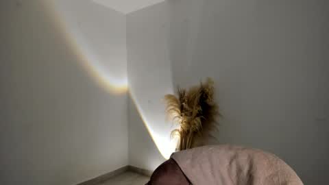 Kim Murphy online show from 11-18-25, 12:31