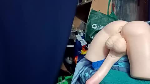 Snapshot of kingfisherrobbie chatting on 10-24-25, 02:24 Robbie online show from 10-24-25, 02:24