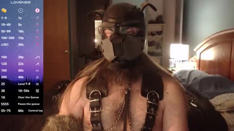 kinkywolf87 online show from 12-05-24, 07:05