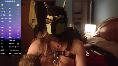 Snapshot of kinkywolf87 chatting on 03-15-26, 12:49 kinkywolf87 online show from 03-15-26, 12:49