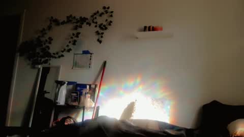 Snapshot of kissahsins chatting on 10-01-25, 11:44 Kissah Kreampuff online show from 10-01-25, 11:44