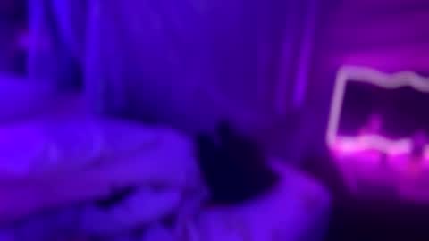 Kissah Kreampuff online show from 01-09-26, 03:09