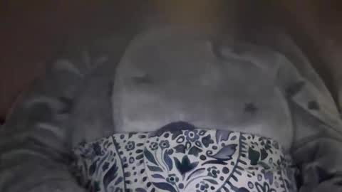 kissandtell1357 online show from 10-24-25, 06:48