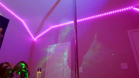 Rose online show from 11-05-25, 11:27