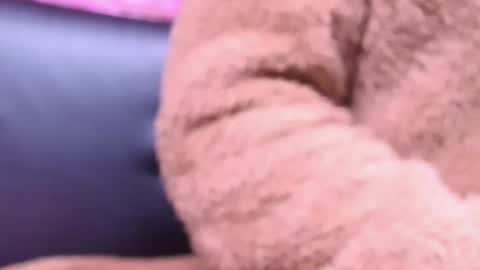 Kitty online show from 10-23-25, 02:22