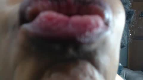 kitty online show from 01-23-25, 03:48