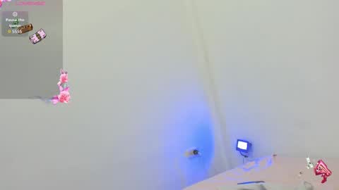 kitty online show from 10-08-25, 09:23