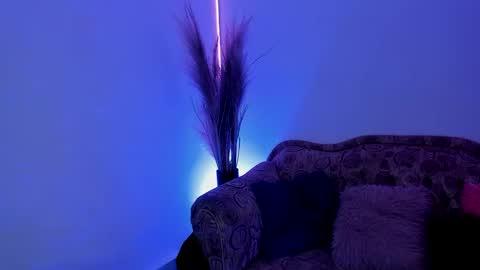 Snapshot of kittycute_cg chatting on 01-14-25, 08:48 Jenn online show from 01-14-25, 08:48