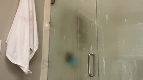 kittypurr79 online show from 01-02-25, 12:02