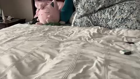 kittypurr79 online show from 01-12-25, 12:07