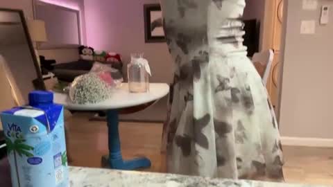 kittypurr79 online show from 09-30-25, 03:11