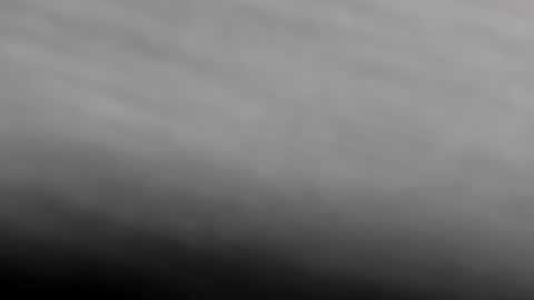  K I T T  Y  online show from 02-01-25, 11:21