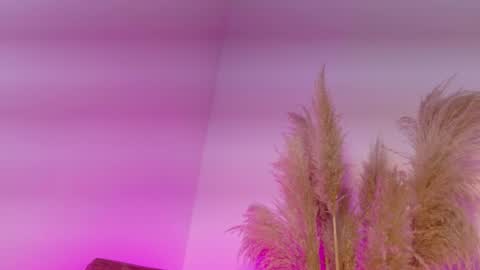 Kitty Hill online show from 01-12-26, 04:18