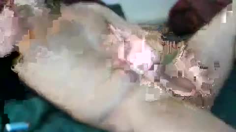 kloeyhoottoyboy online show from 03-21-26, 01:54