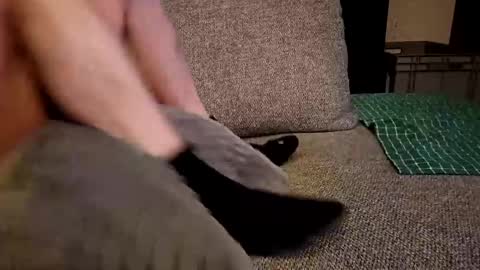 Snapshot of koelie1982 chatting on 12-19-24, 01:28 koelie1982 online show from 12-19-24, 01:28