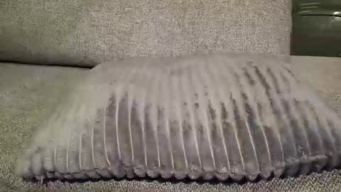 Snapshot of koelie1982 chatting on 01-22-25, 01:10 koelie1982 online show from 01-22-25, 01:10