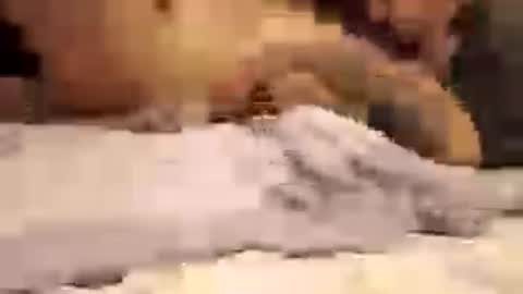 Snapshot of konrado3 chatting on 06-18-26, 03:29 konrado3 online show from 06-18-26, 03:29
