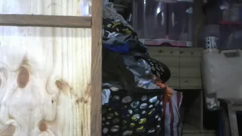 krishasweet online show from 12-11-24, 03:58