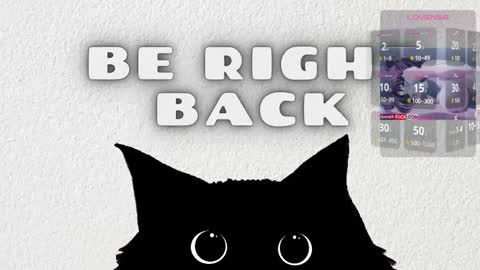   online show from 02-25-26, 03:38