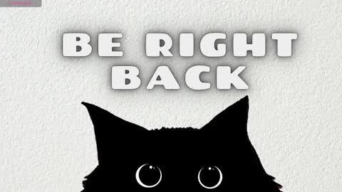   online show from 04-01-26, 04:46