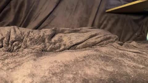 kylevandick online show from 04-11-26, 11:58