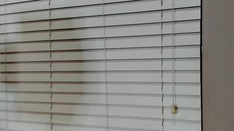 Kylie online show from 01-14-26, 04:07