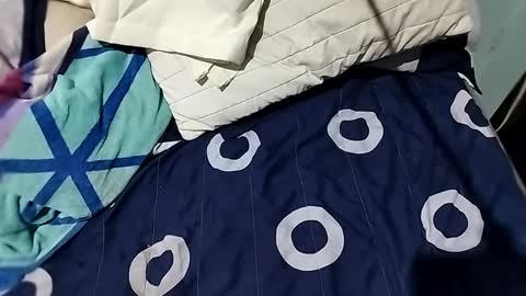 l0c0fundias online show from 09-13-25, 07:08