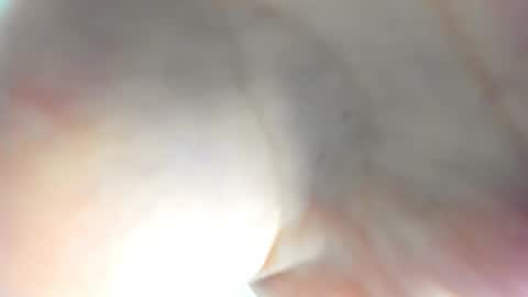 Snapshot of l1l_lola chatting on 11-15-25, 08:00 Ameli online show from 11-15-25, 08:00