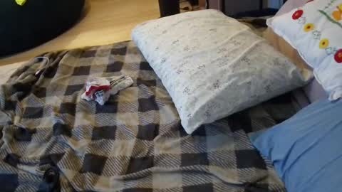 lacey_rose6 online show from 07-01-26, 08:05