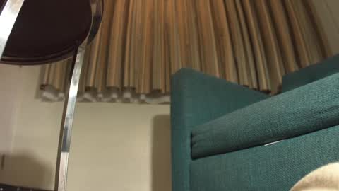 Snapshot of lacub chatting on 02-19-25, 07:17 lacub online show from 02-19-25, 07:17