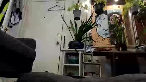 lacybell online show from 02-19-25, 07:28