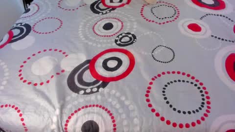 Snapshot of ladahear_ chatting on 05-08-26, 03:06 Akyra online show from 05-08-26, 03:06