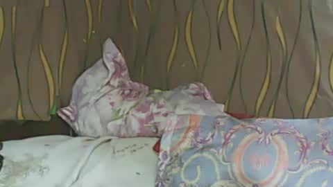 LadyXSnakes online show from 02-11-25, 06:08