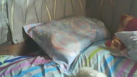 LadyXSnakes online show from 02-19-25, 07:39