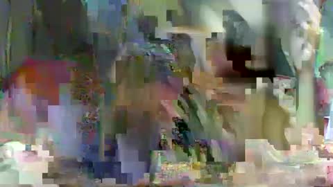 LadyXSnakes online show from 02-23-25, 03:51