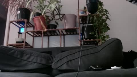 Snapshot of laidback_and_chill chatting on 12-11-24, 08:26 Rick online show from 12-11-24, 08:26