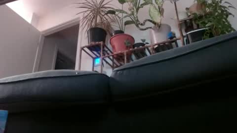 Snapshot of laidback_and_chill chatting on 02-01-25, 03:08 Rick online show from 02-01-25, 03:08