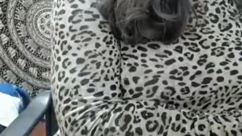 Snapshot of lailasensu chatting on 07-14-26, 12:33 LAILA online show from 07-14-26, 12:33