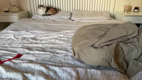 Lana online show from 02-05-25, 02:16