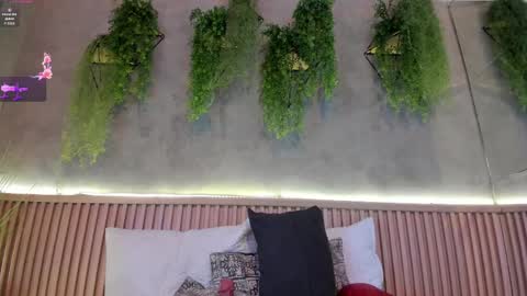 lana_lann online show from 02-14-25, 02:54