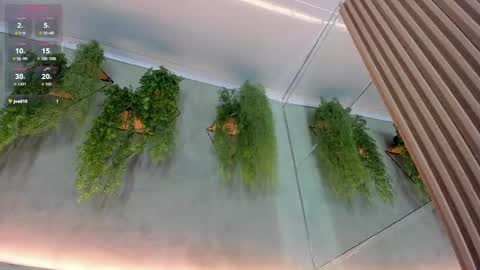 lana_lann online show from 09-24-25, 11:57