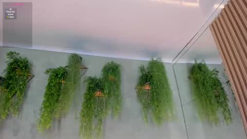 lana_lann online show from 11-10-25, 12:04